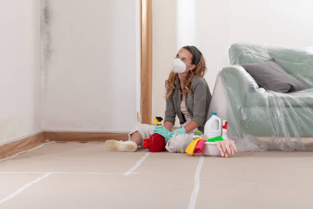Reliable Commercial Mold Remediation contractor in Plymouth Meeting, PA by WQB Mold Removal
